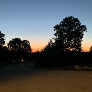 Meet your Posher, Liza